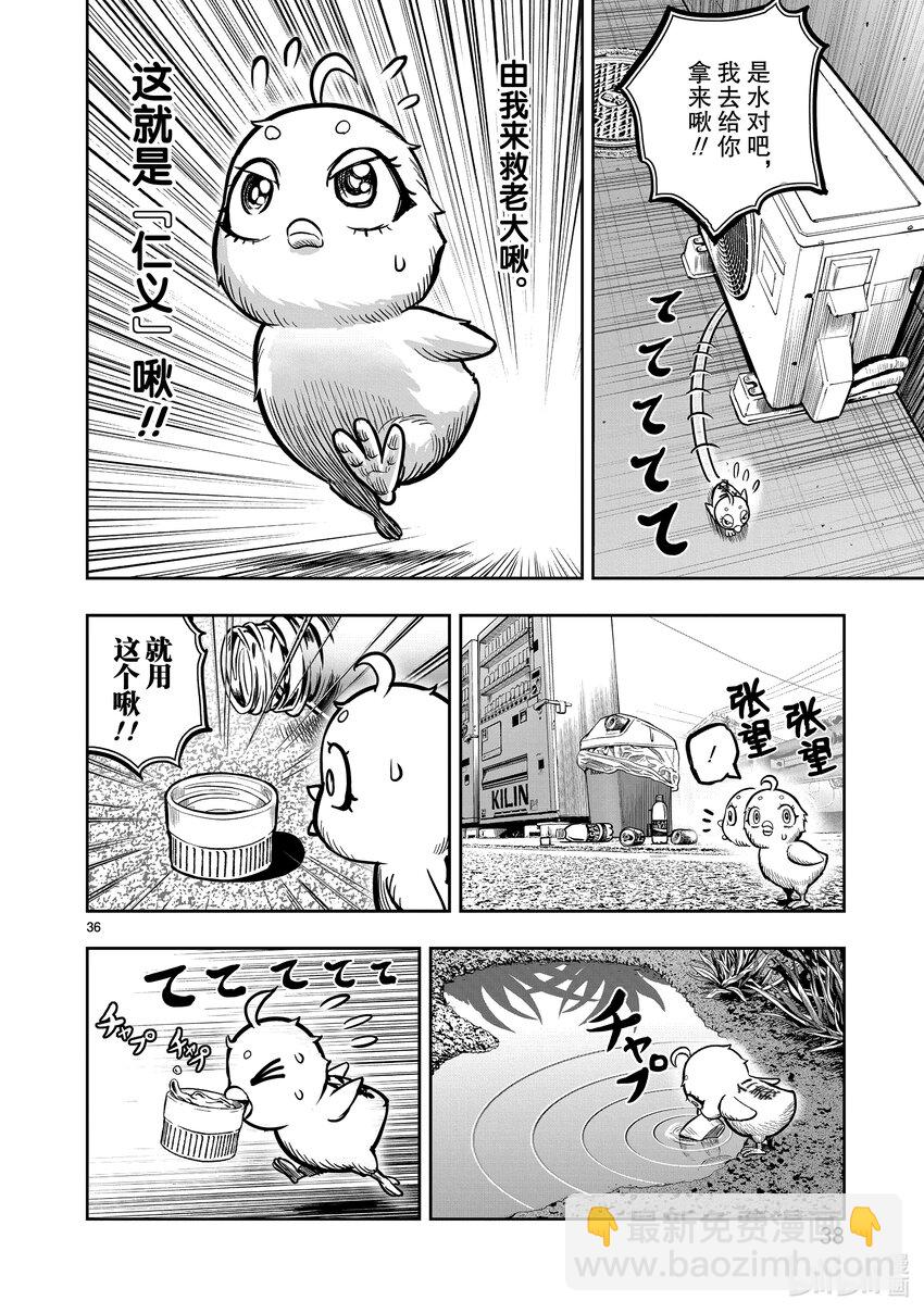 🍴鸡斗士 第6只 鹄面鸟形 第39页