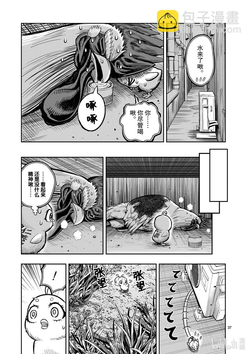 🍴鸡斗士 第6只 鹄面鸟形 第40页