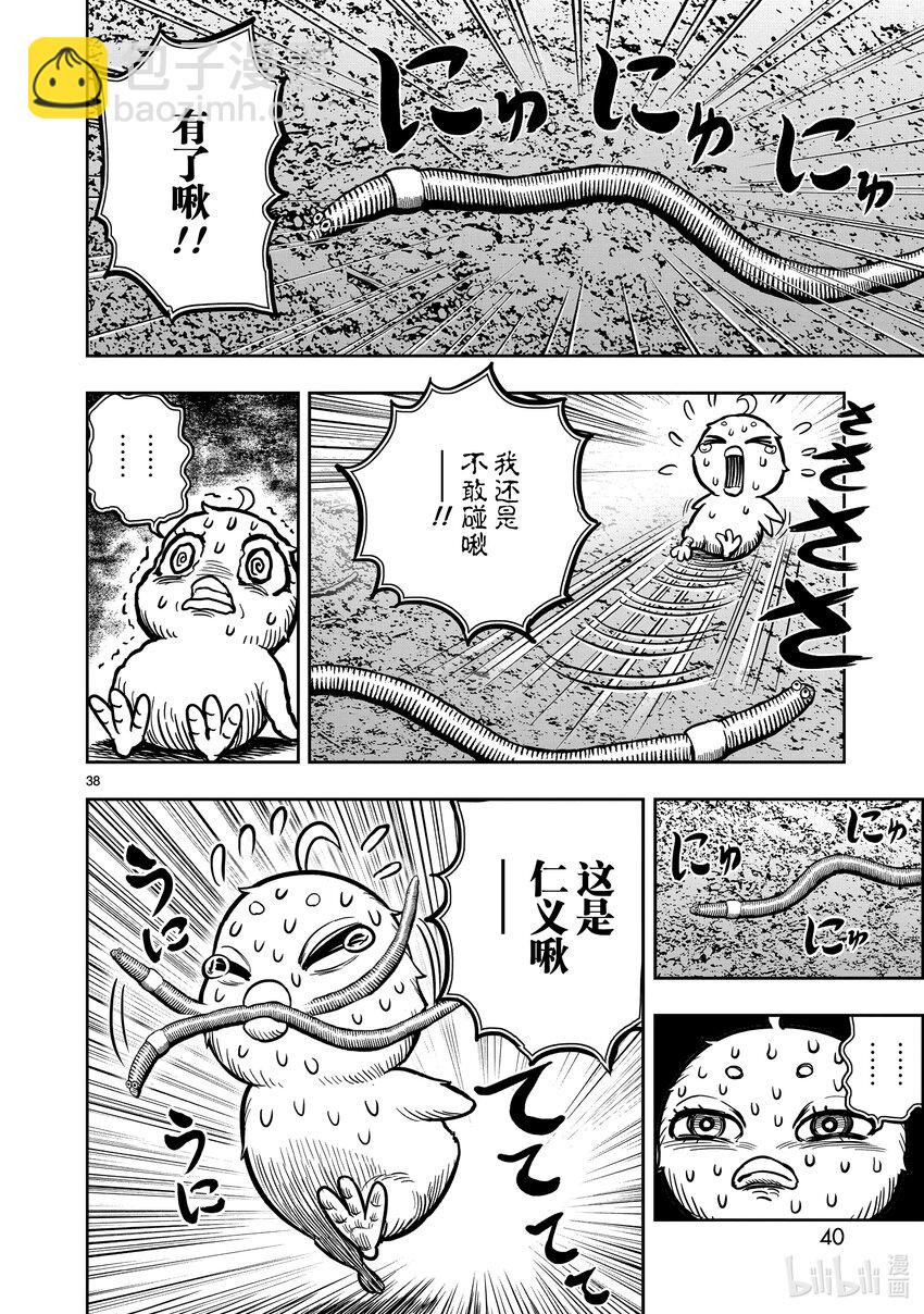 🍴鸡斗士 第6只 鹄面鸟形 第41页