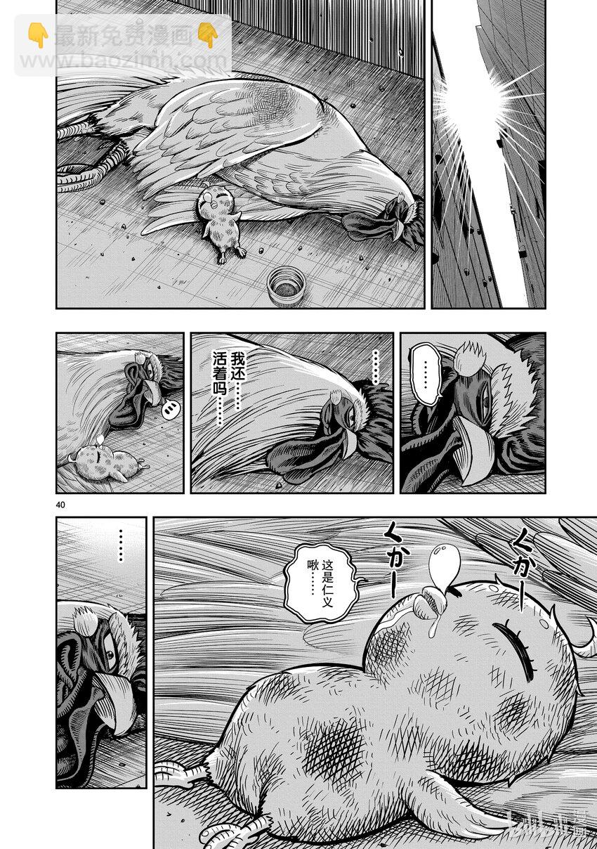 🍴鸡斗士 第6只 鹄面鸟形 第43页