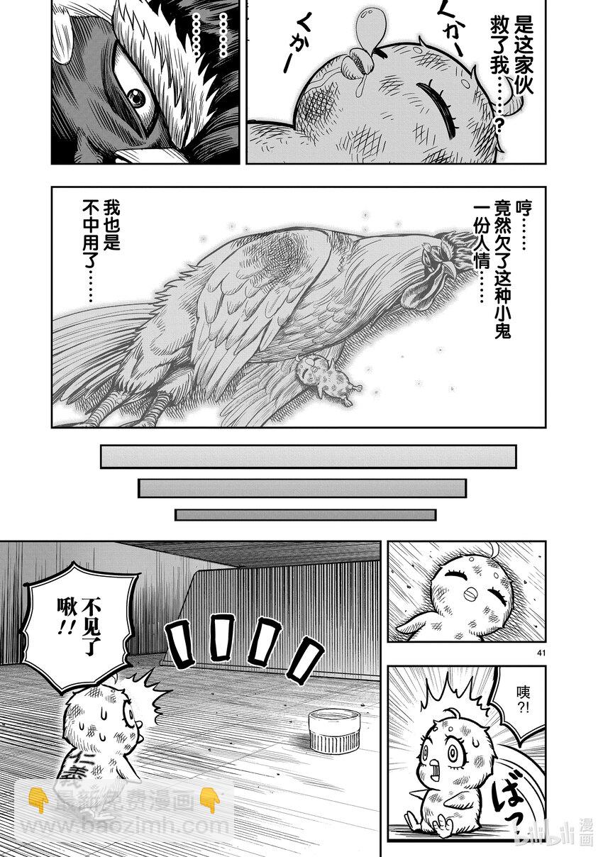 🍴鸡斗士 第6只 鹄面鸟形 第44页