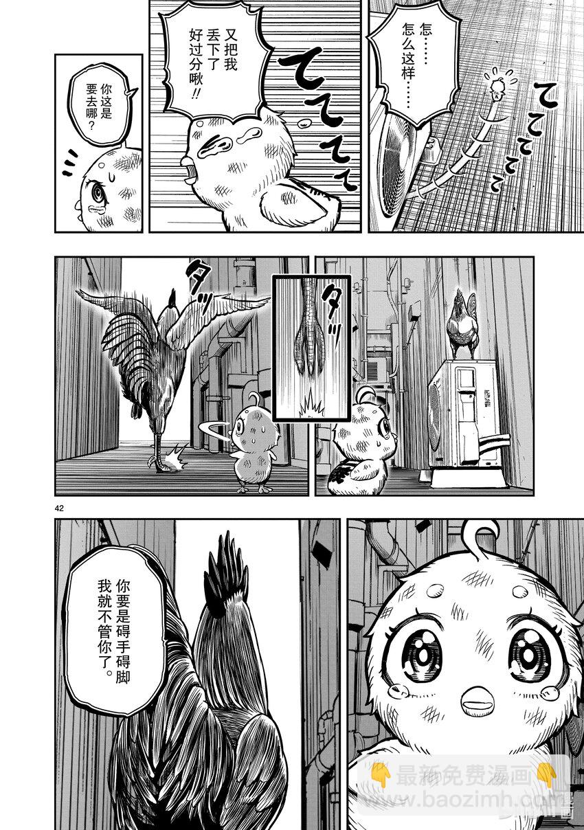 🍴鸡斗士 第6只 鹄面鸟形 第45页