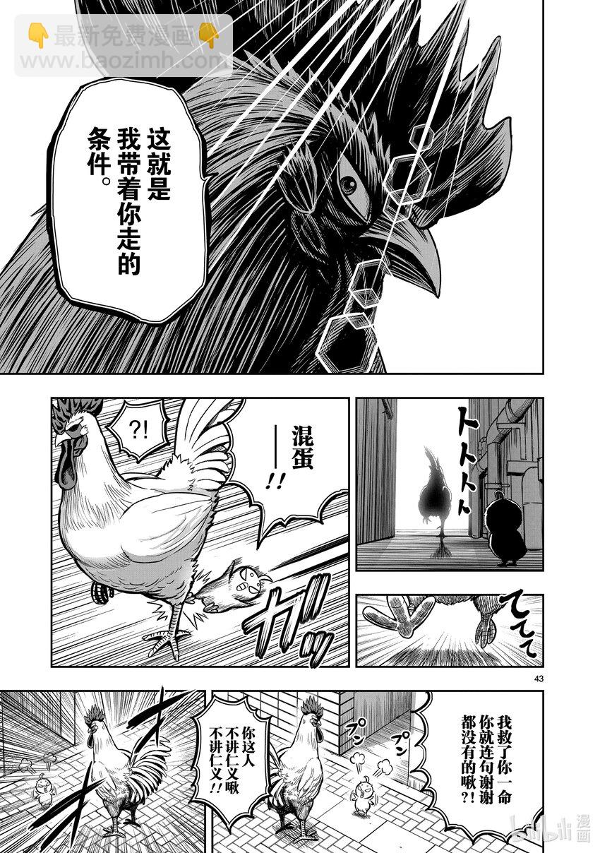 🍴鸡斗士 第6只 鹄面鸟形 第46页