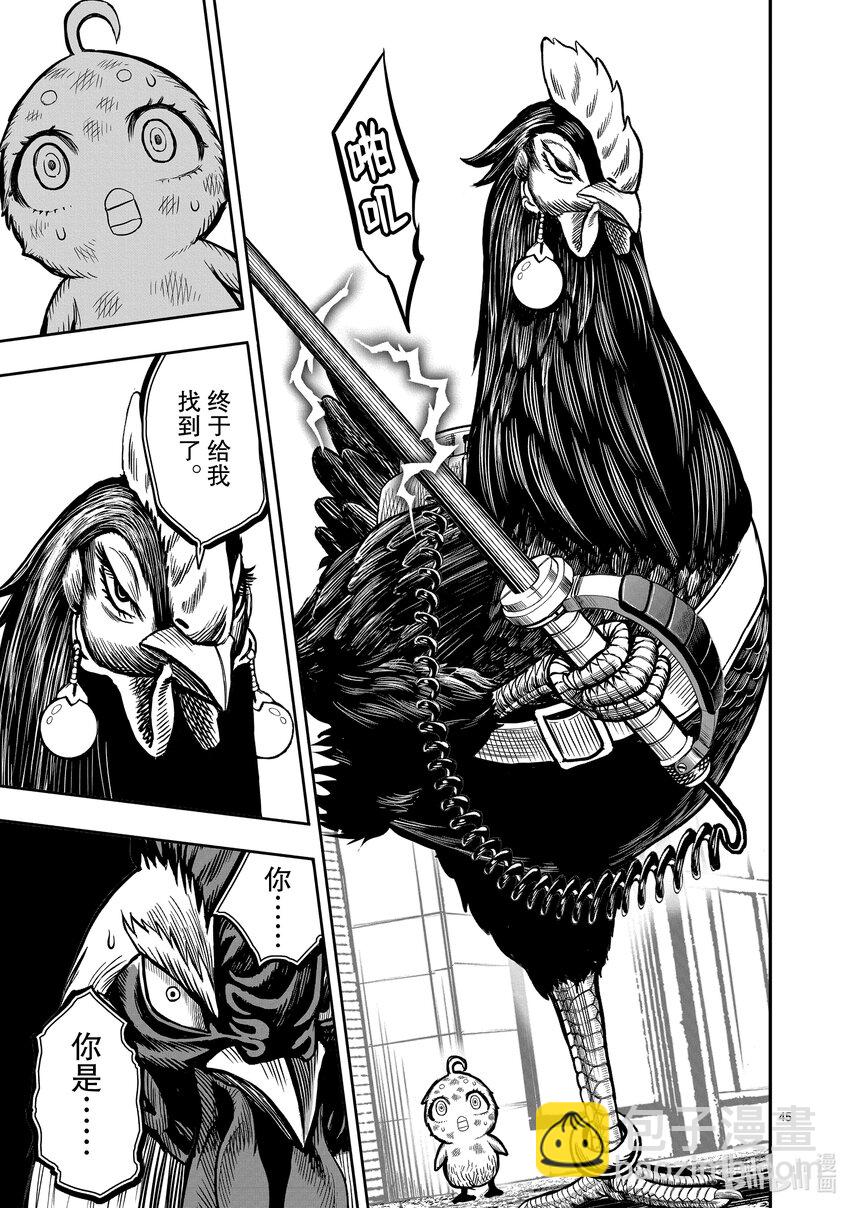 🍴鸡斗士 第6只 鹄面鸟形 第48页