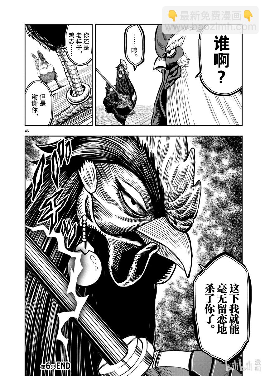 🍴鸡斗士 第6只 鹄面鸟形 第49页