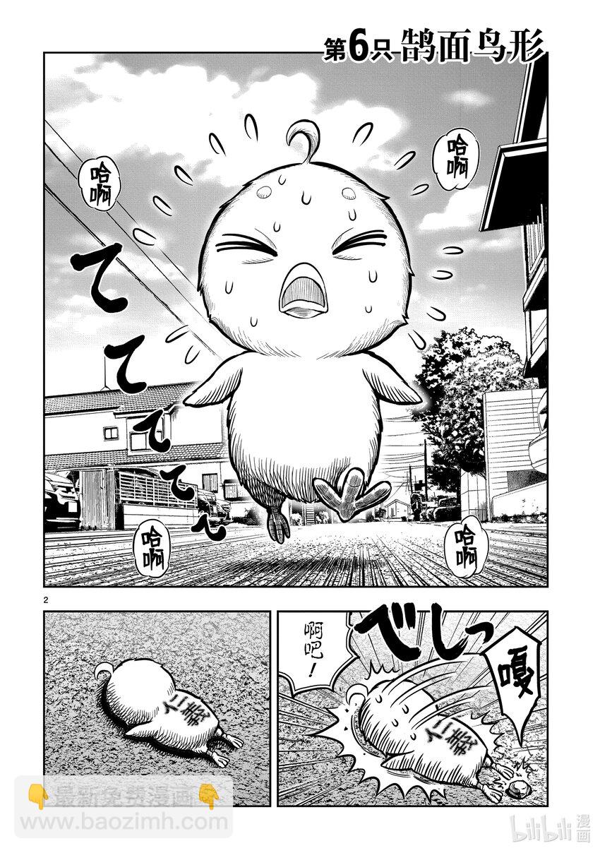 🍴鸡斗士 第6只 鹄面鸟形 第5页