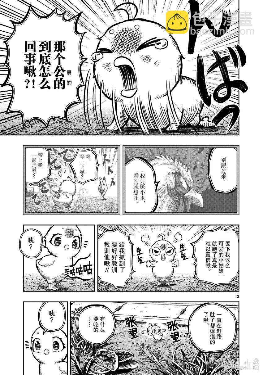 🍴鸡斗士 第6只 鹄面鸟形 第6页