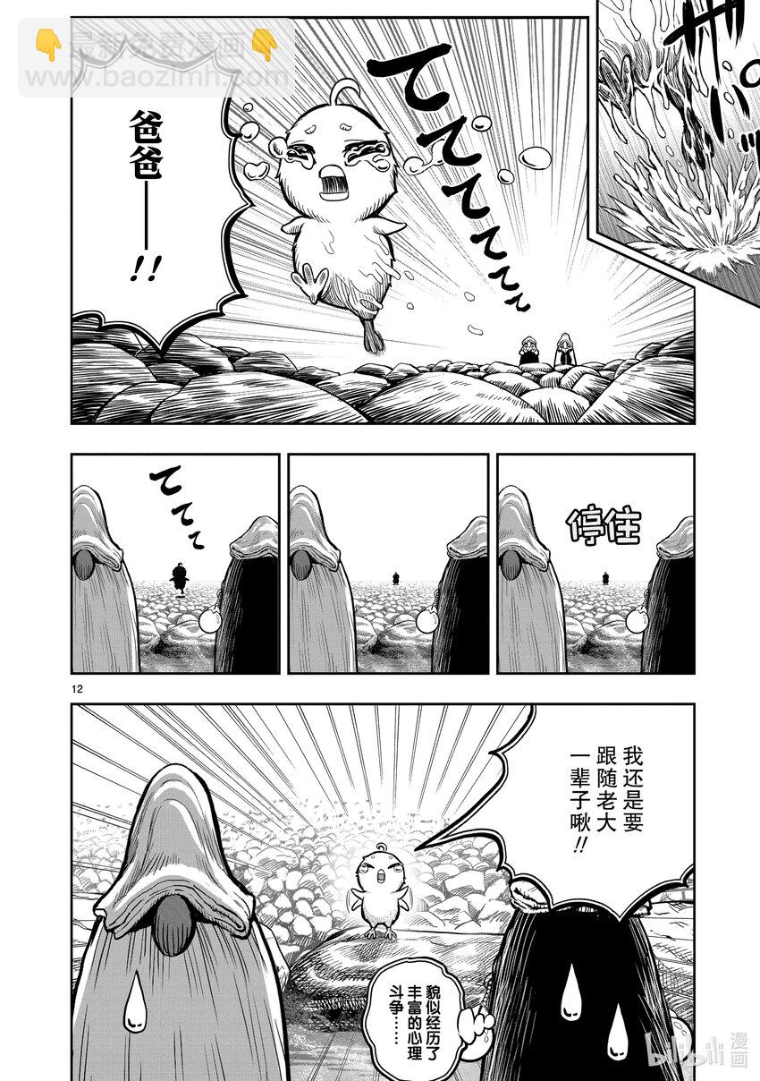 🍴鸡斗士 第8只 鸟语花香 第12页