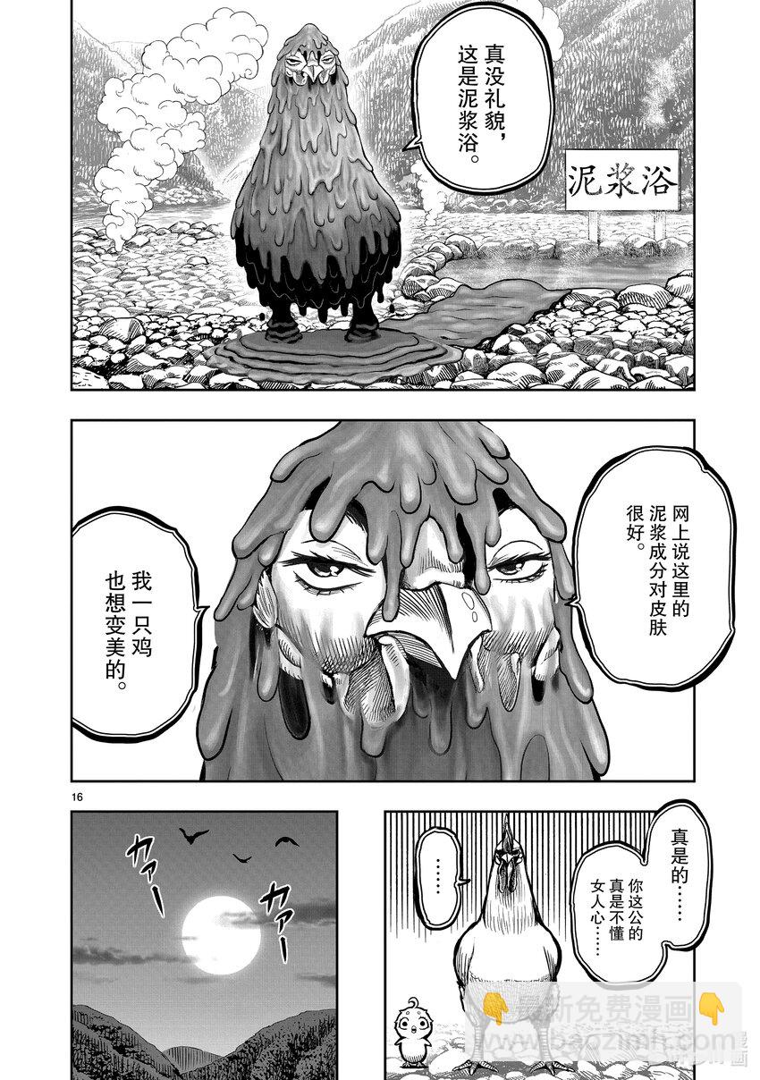🍴鸡斗士 第8只 鸟语花香 第16页