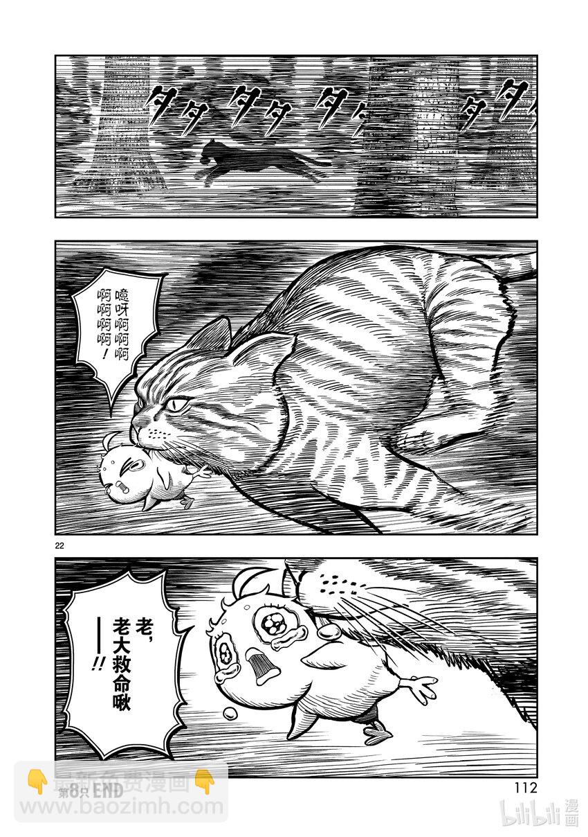 🍴鸡斗士 第8只 鸟语花香 第22页