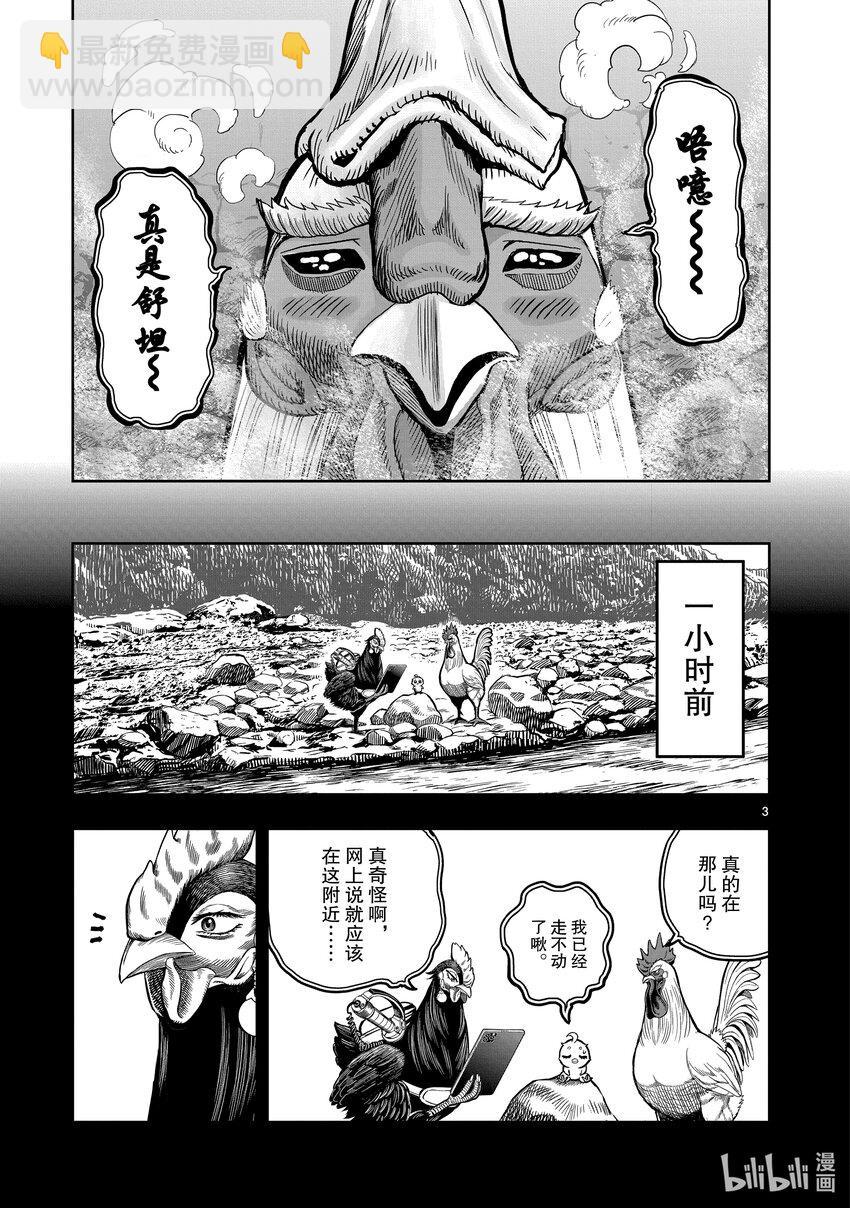 🍴鸡斗士 第8只 鸟语花香 第3页