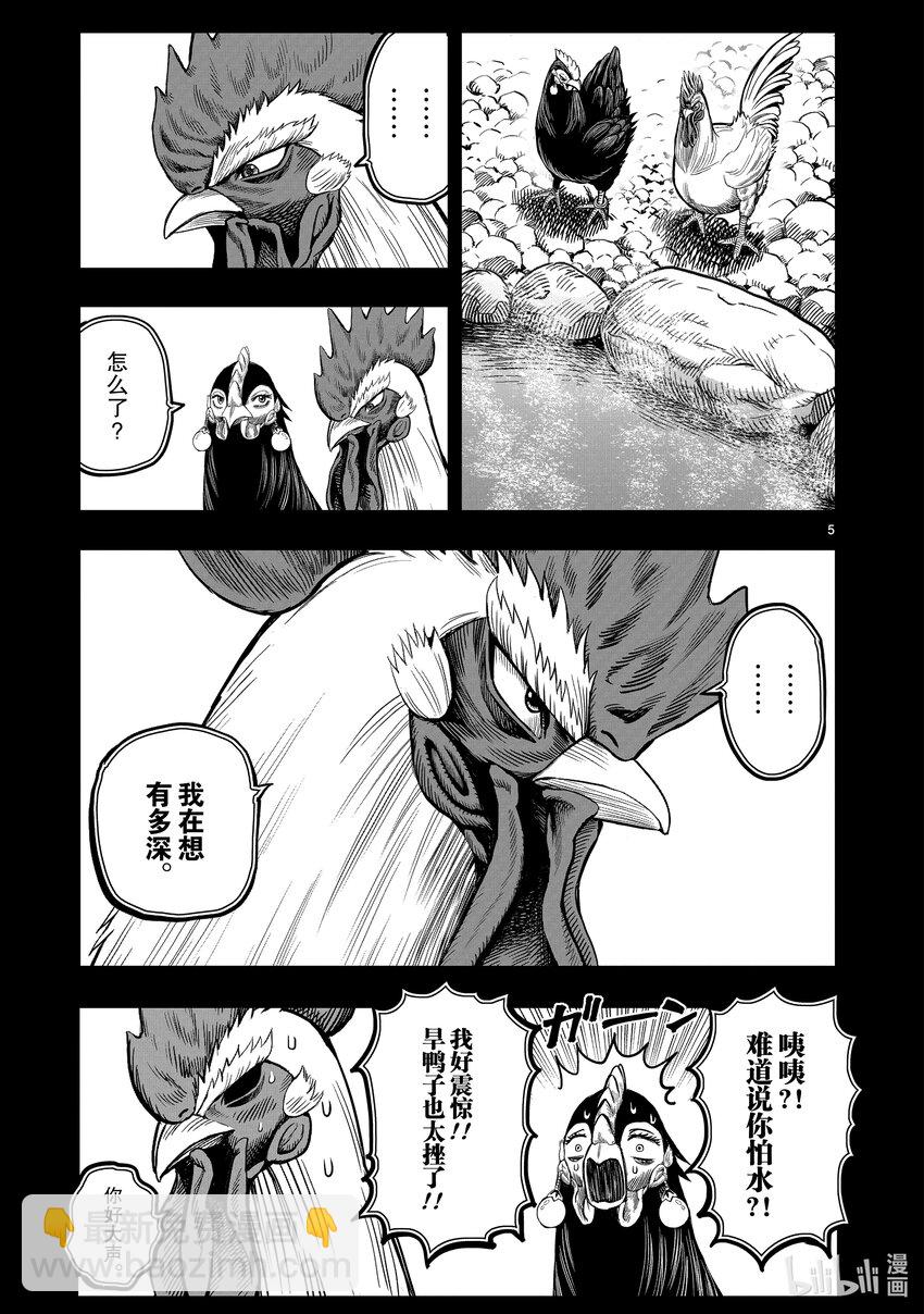 🍴鸡斗士 第8只 鸟语花香 第5页