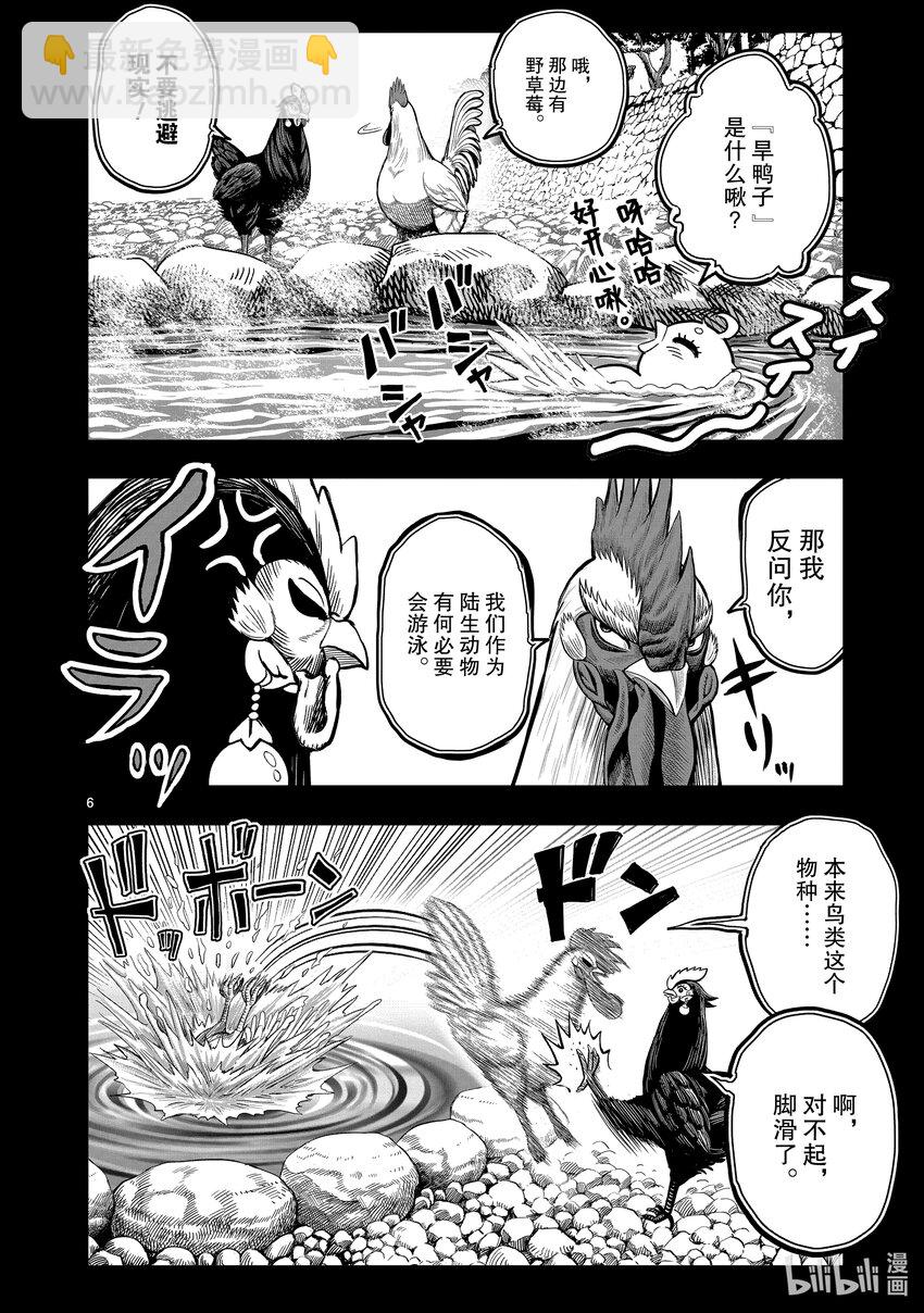 🍴鸡斗士 第8只 鸟语花香 第6页