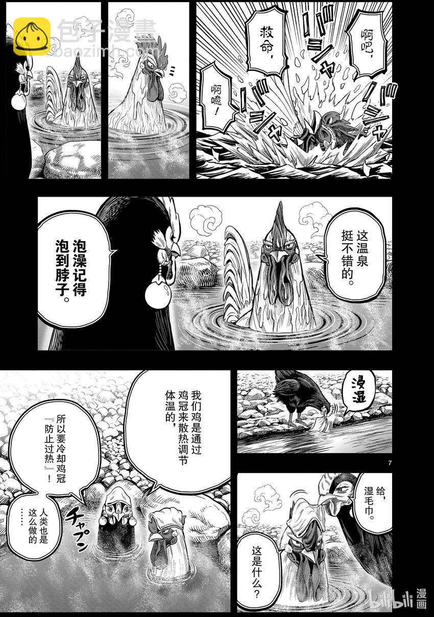 🍴鸡斗士 第8只 鸟语花香 第7页