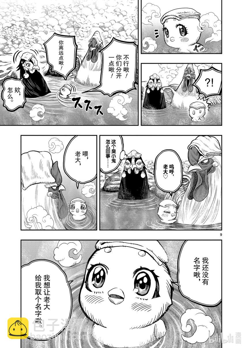 🍴鸡斗士 第8只 鸟语花香 第9页