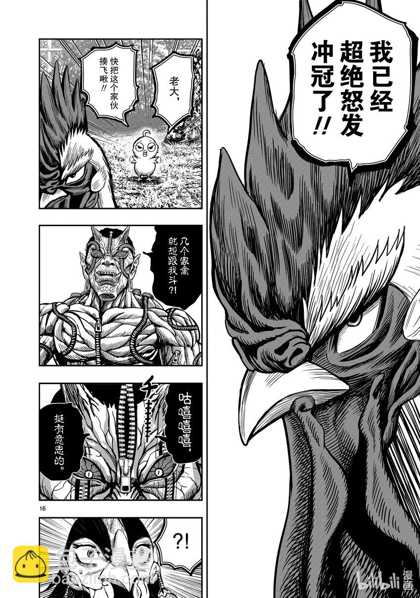 🍴鸡斗士 第10只 伤弓之鸟 第16页