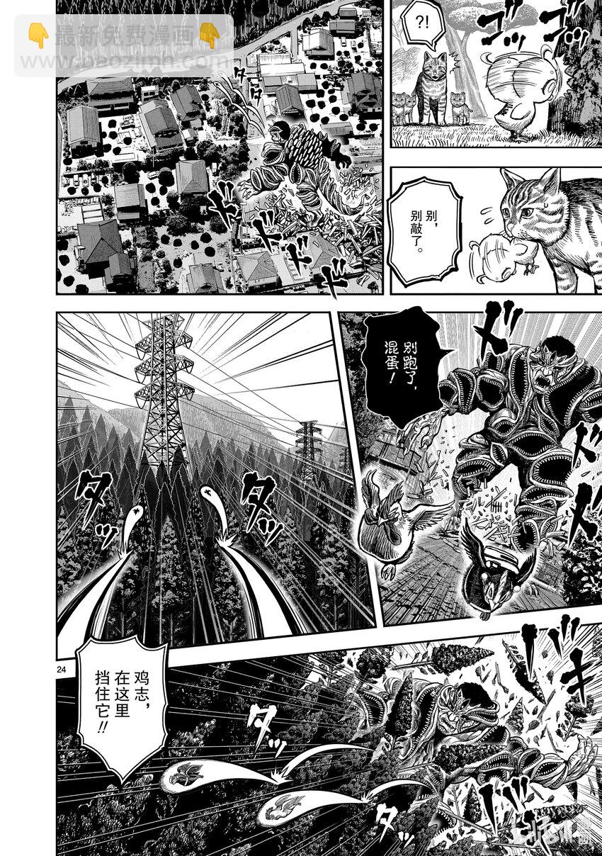 🍴鸡斗士 第10只 伤弓之鸟 第24页