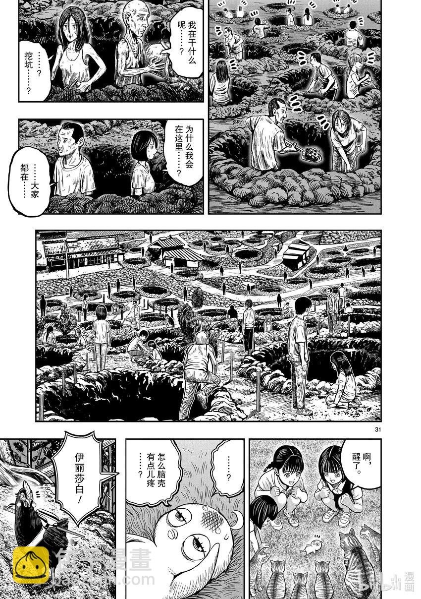 🍴鸡斗士 第10只 伤弓之鸟 第31页