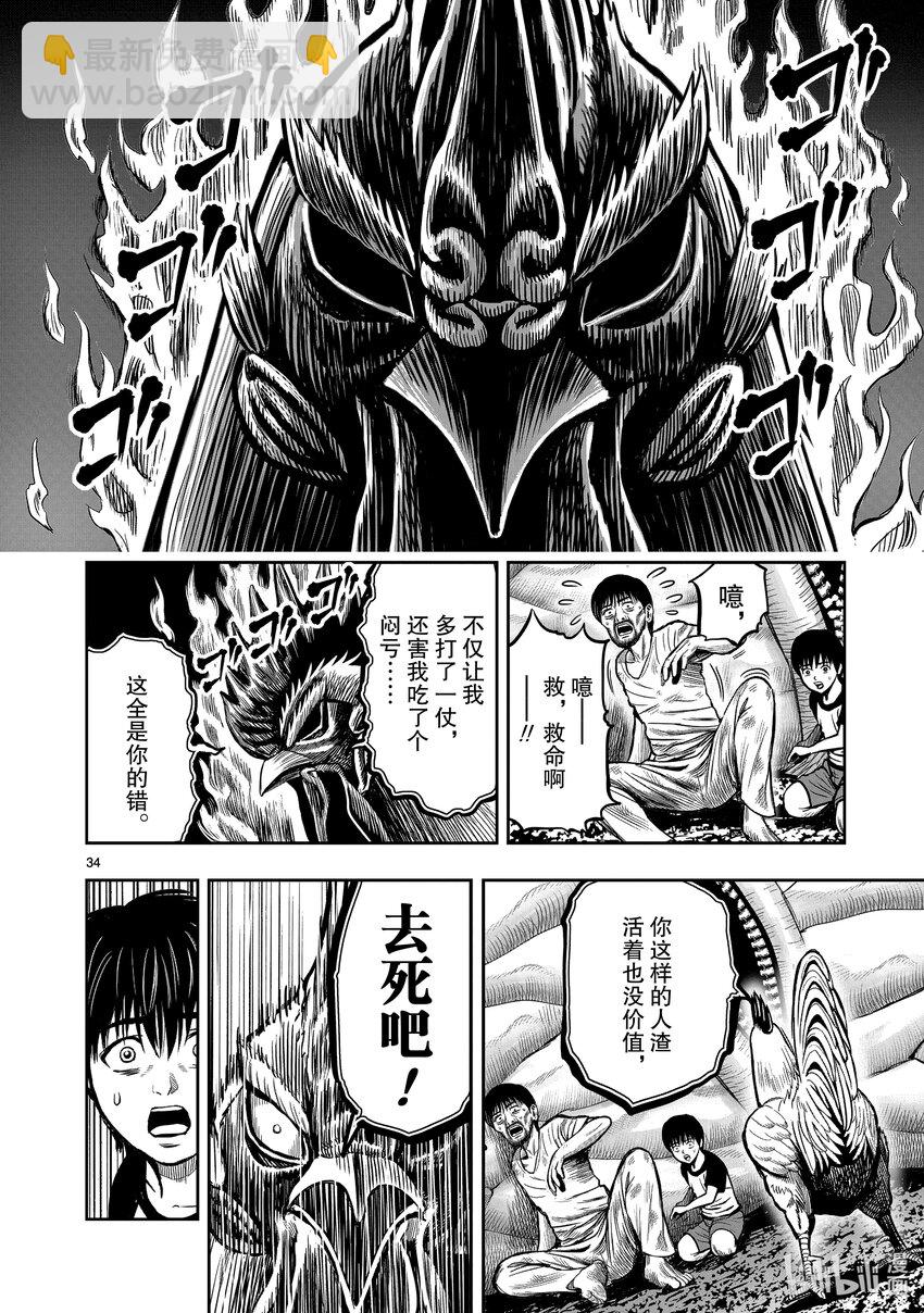 🍴鸡斗士 第10只 伤弓之鸟 第34页