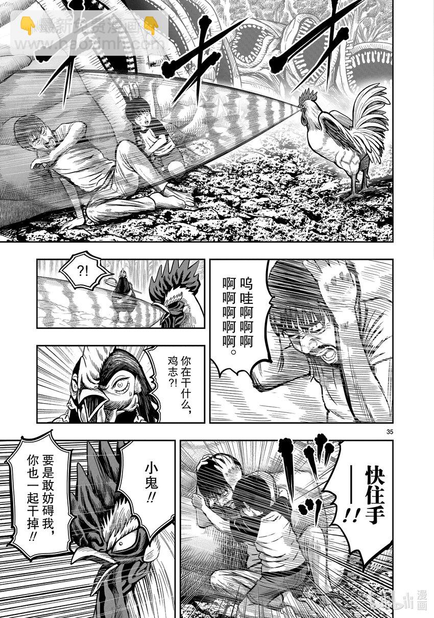 🍴鸡斗士 第10只 伤弓之鸟 第35页
