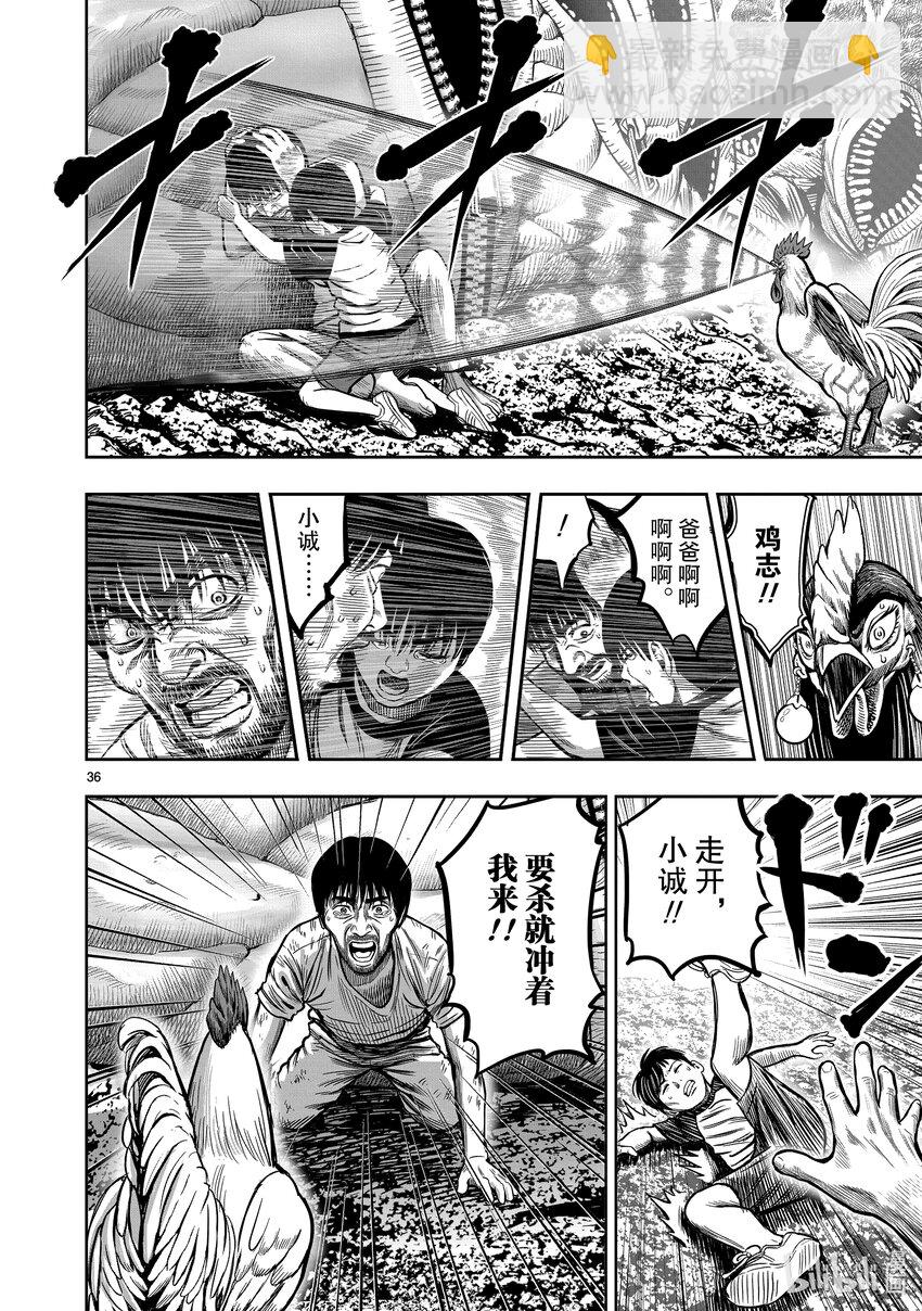 🍴鸡斗士 第10只 伤弓之鸟 第36页