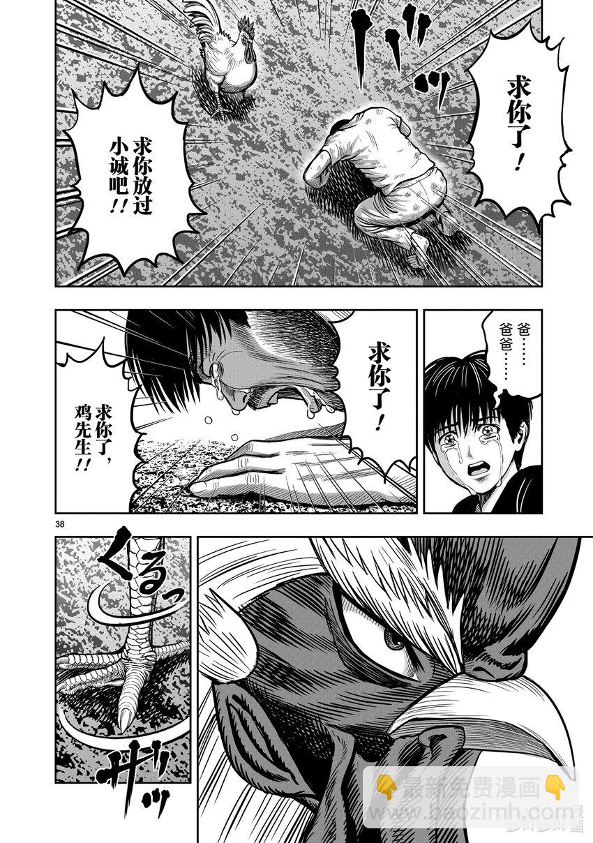 🍴鸡斗士 第10只 伤弓之鸟 第38页