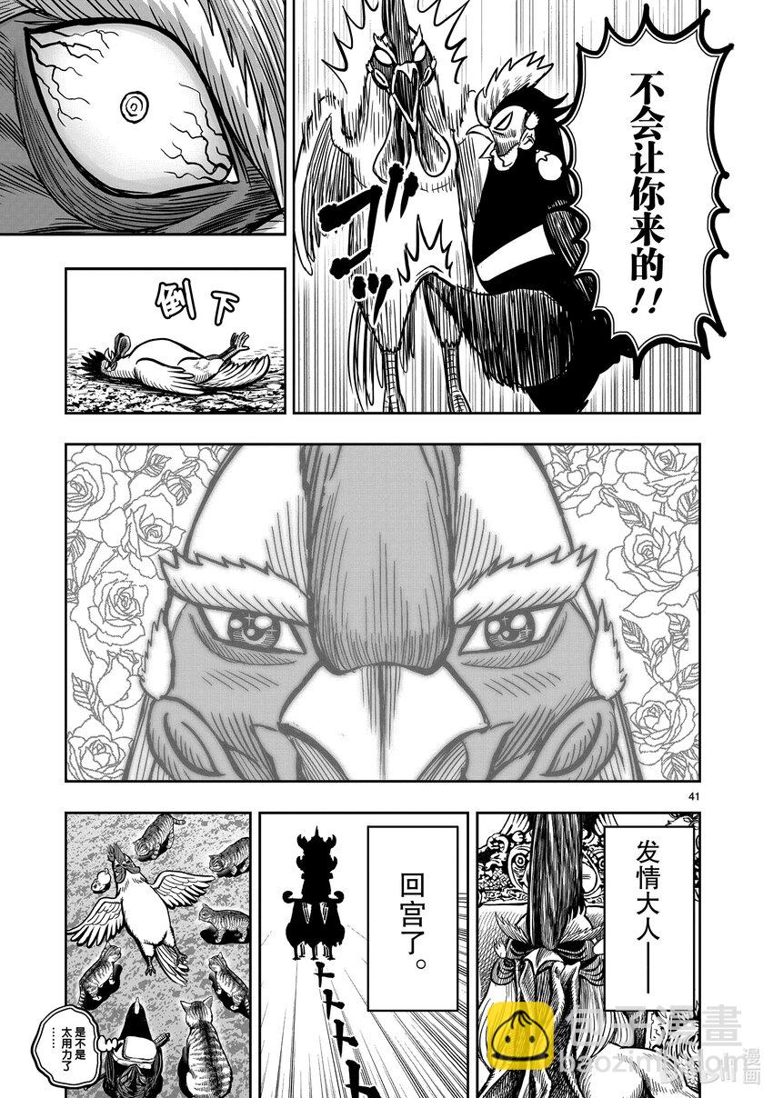 🍴鸡斗士 第10只 伤弓之鸟 第41页
