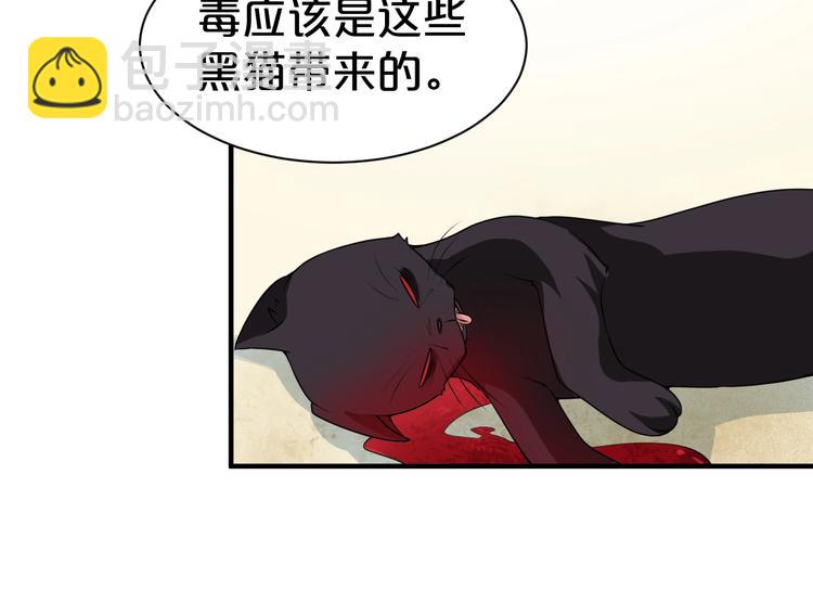 第38话 黑猫惊魂(1/2)-第38话