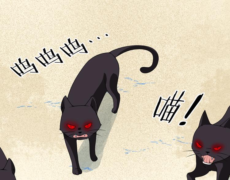 第38话 黑猫惊魂(1/2)-第38话