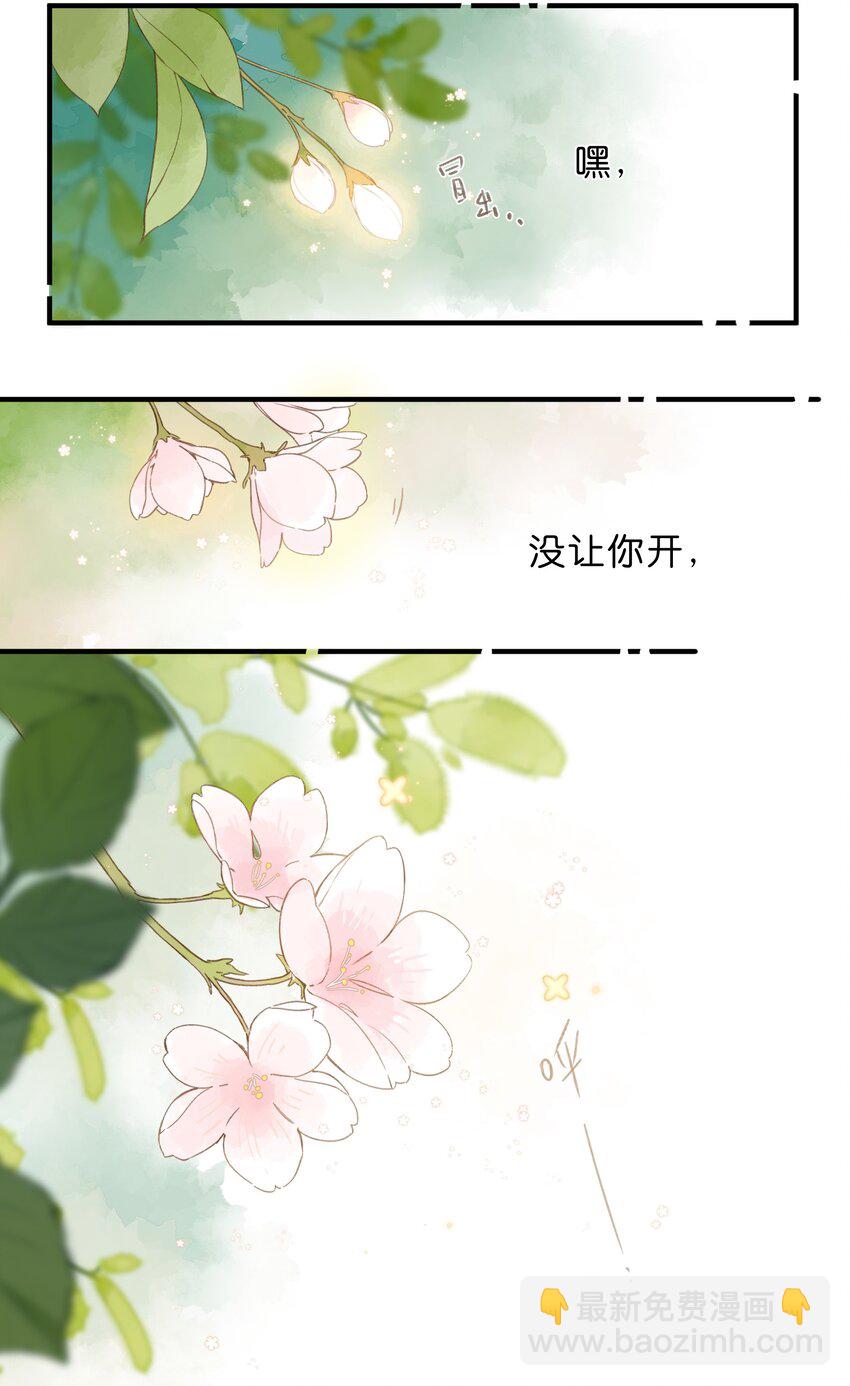 第40话 悄然无声的绽放-第42话