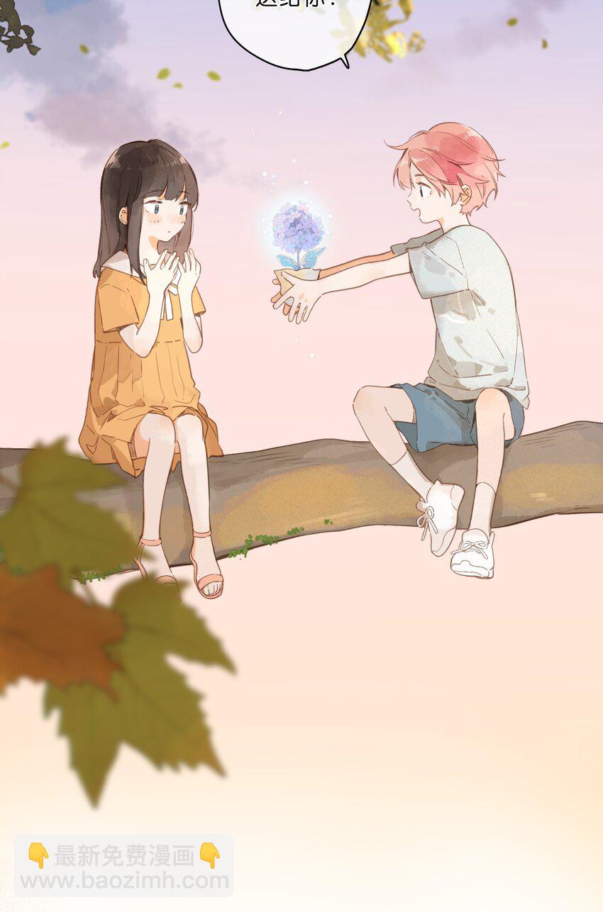 第46话 希望的花-第48话