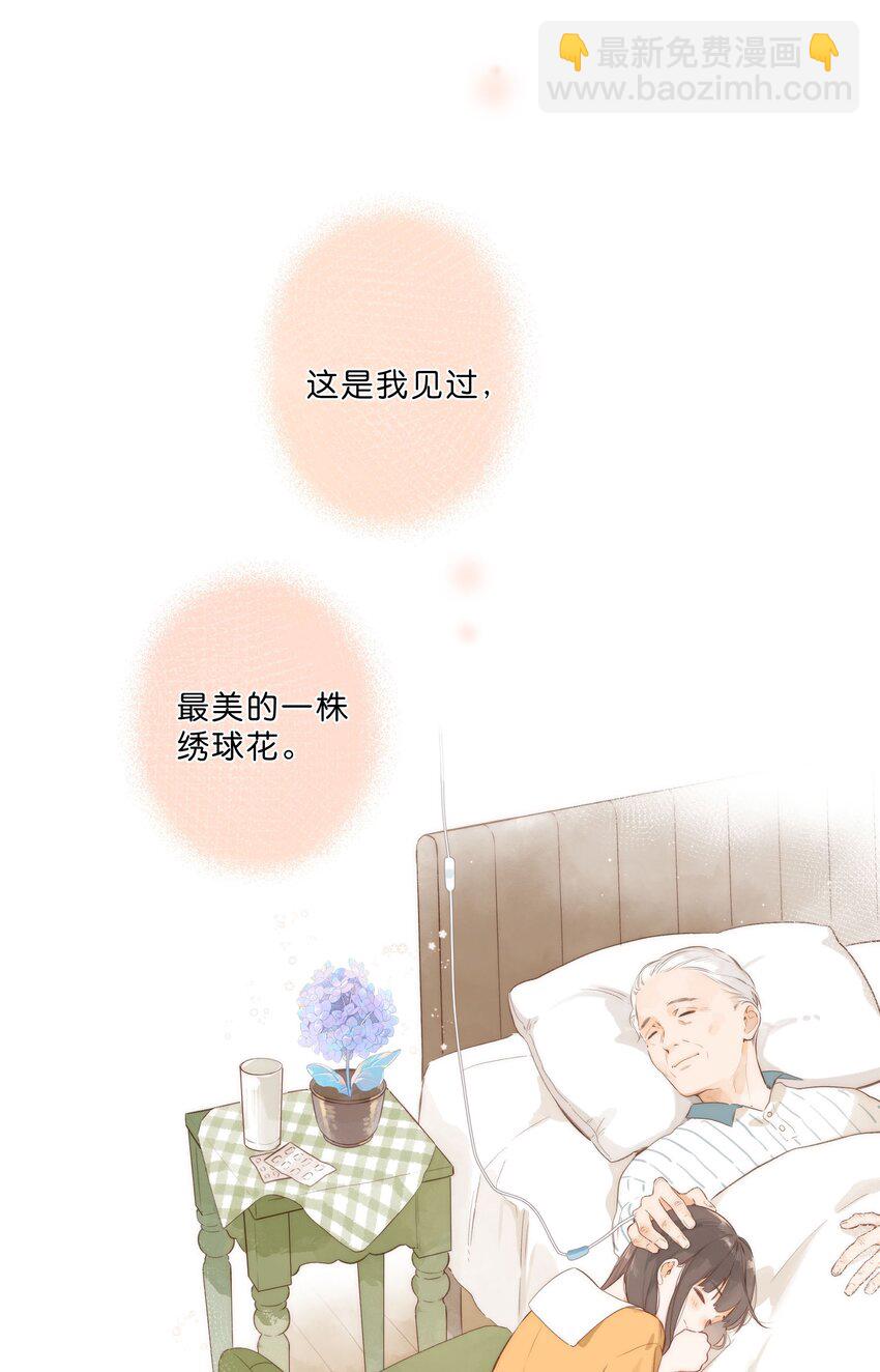 第46话 希望的花-第48话