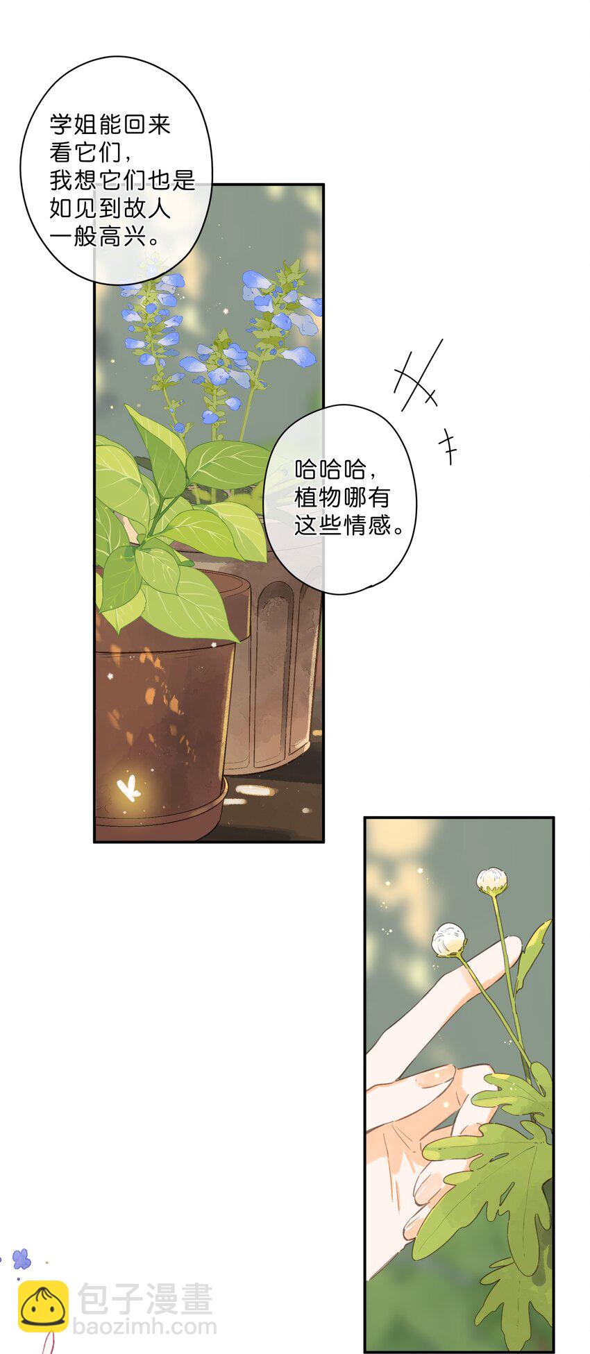 第65话 藏在温室里的怀念(1/2)-第68话