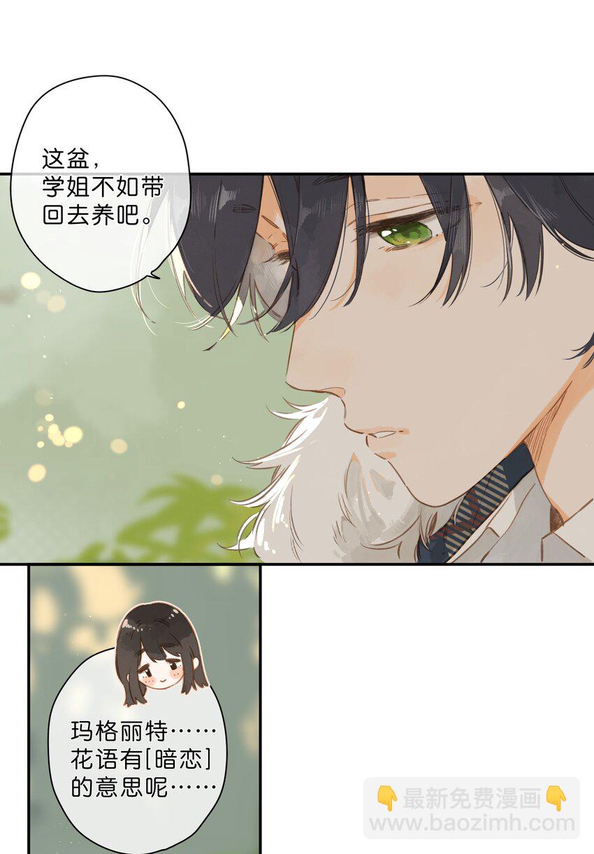 第65话 藏在温室里的怀念(1/2)-第68话
