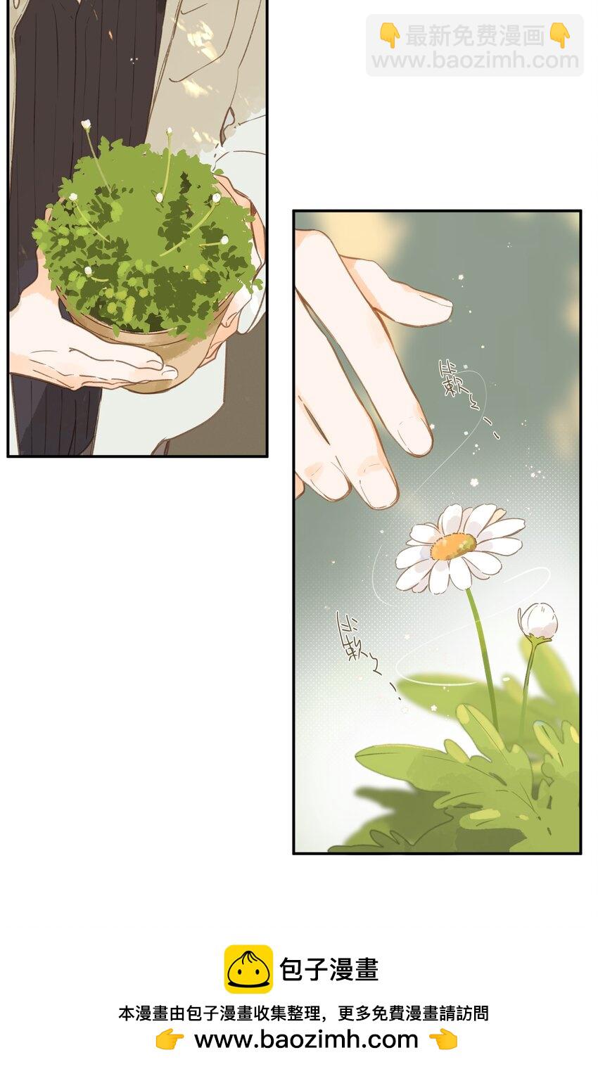 第65话 藏在温室里的怀念(1/2)-第68话