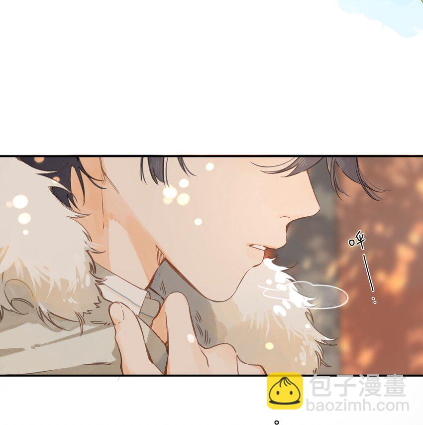 第65话 藏在温室里的怀念(1/2)-第68话