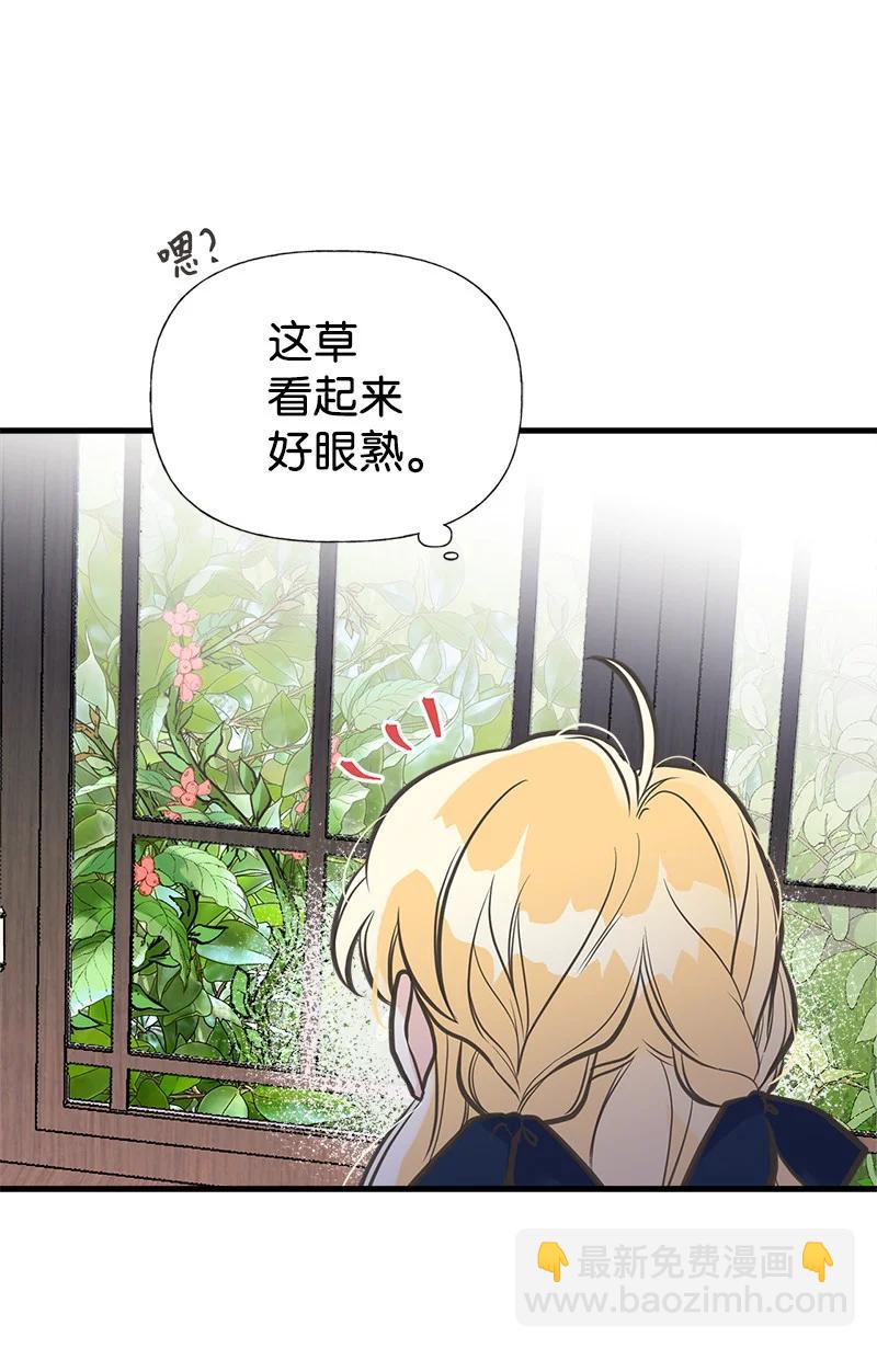 36 奇怪的镜子(1/2)-第36话