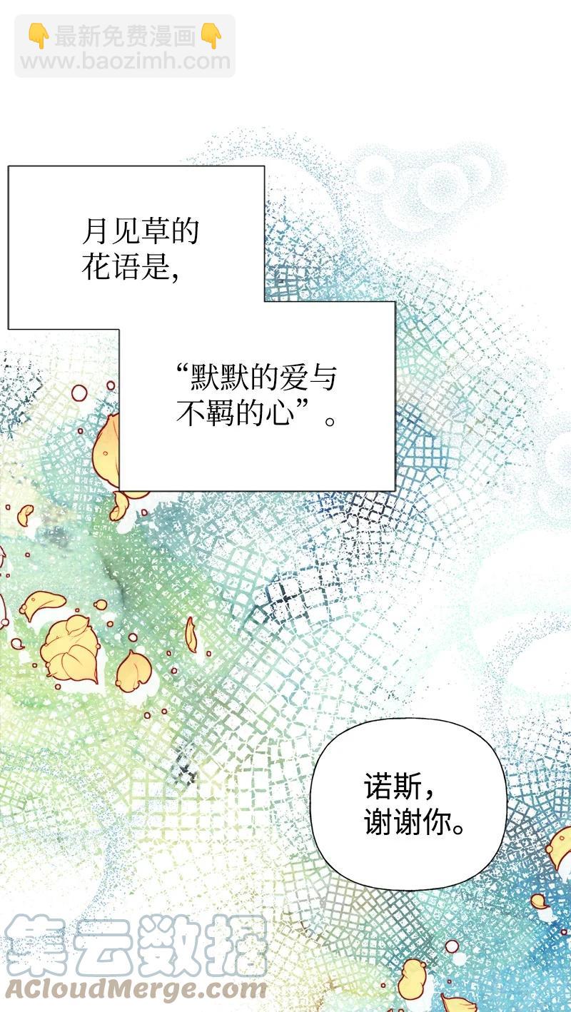48 帕尔的故事(1/2)-第48话