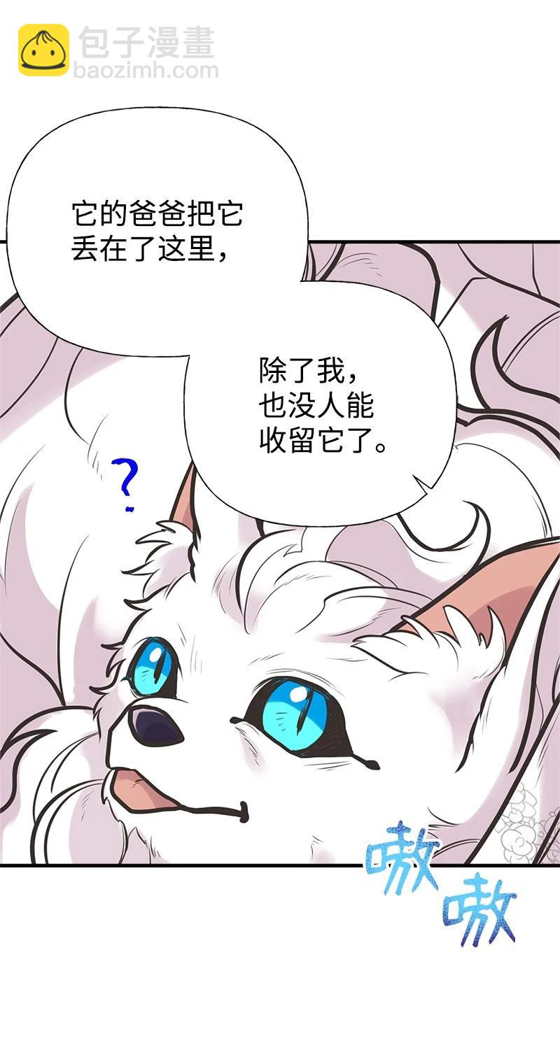 52 雪球(1/2)-第52话