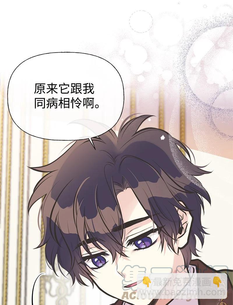 52 雪球(1/2)-第52话