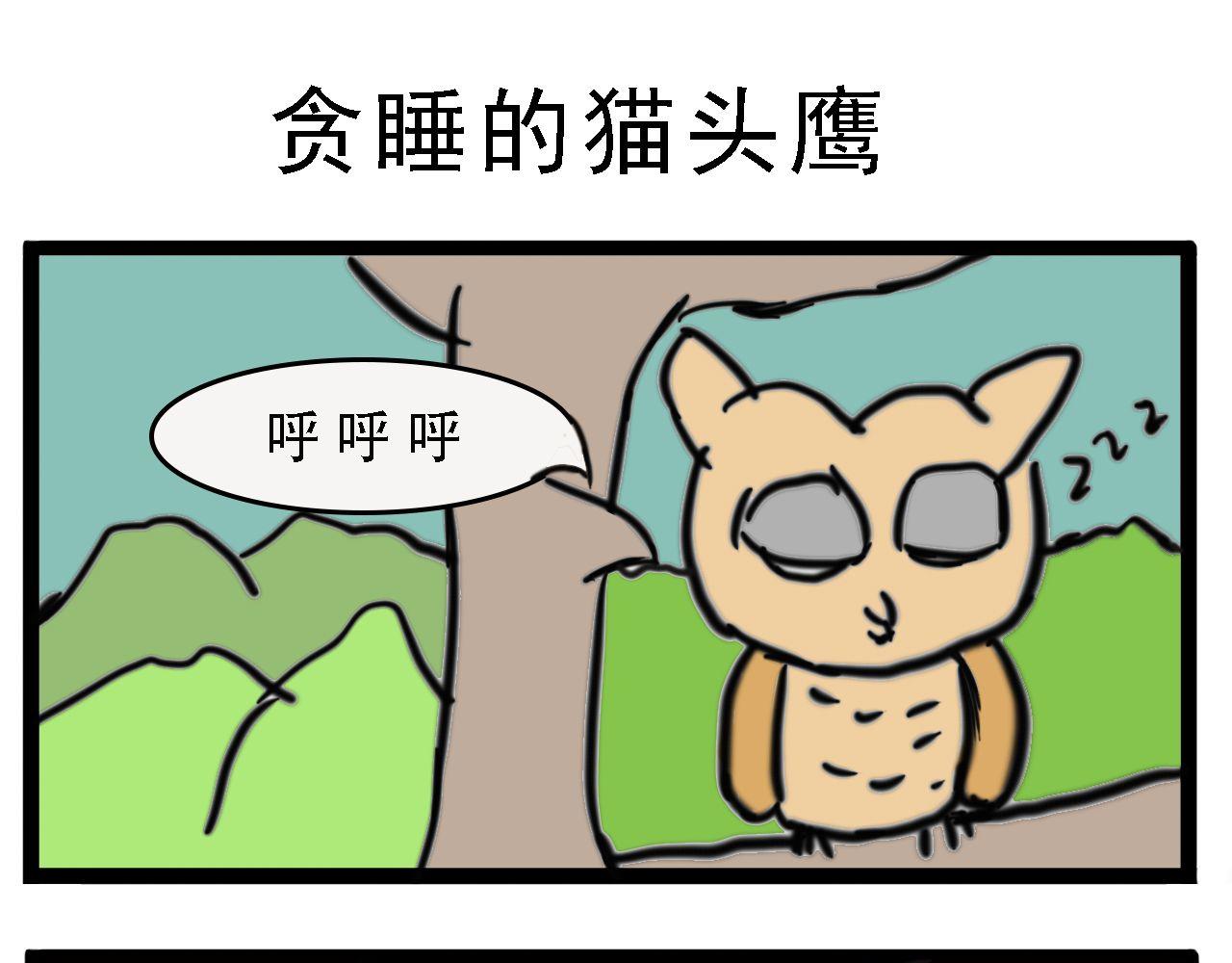 🍴杰克的冒险故事 啄木鸟和猫头鹰 第5页