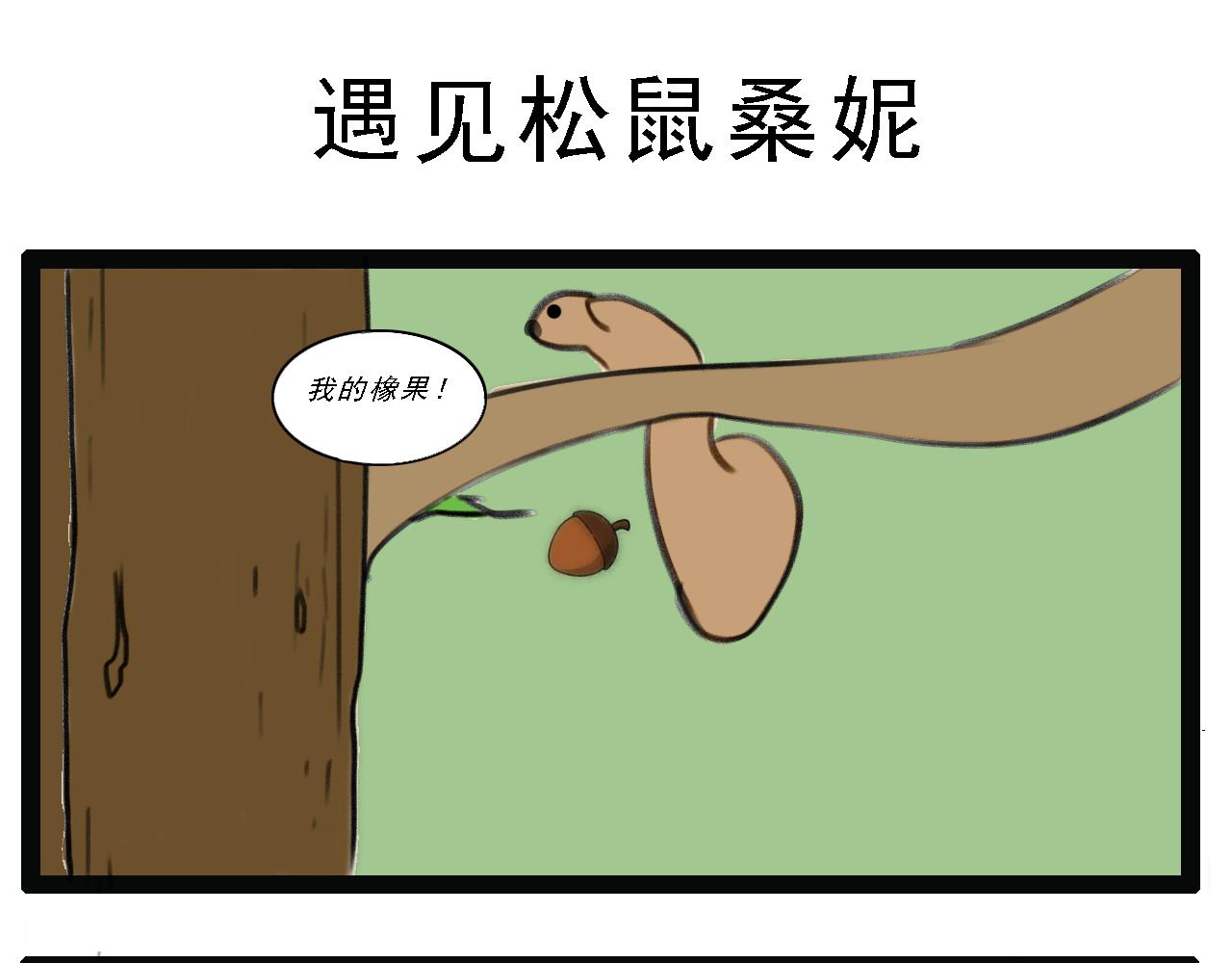 🍴杰克的冒险故事 森林圣剑，恶狼和松鼠 第9页