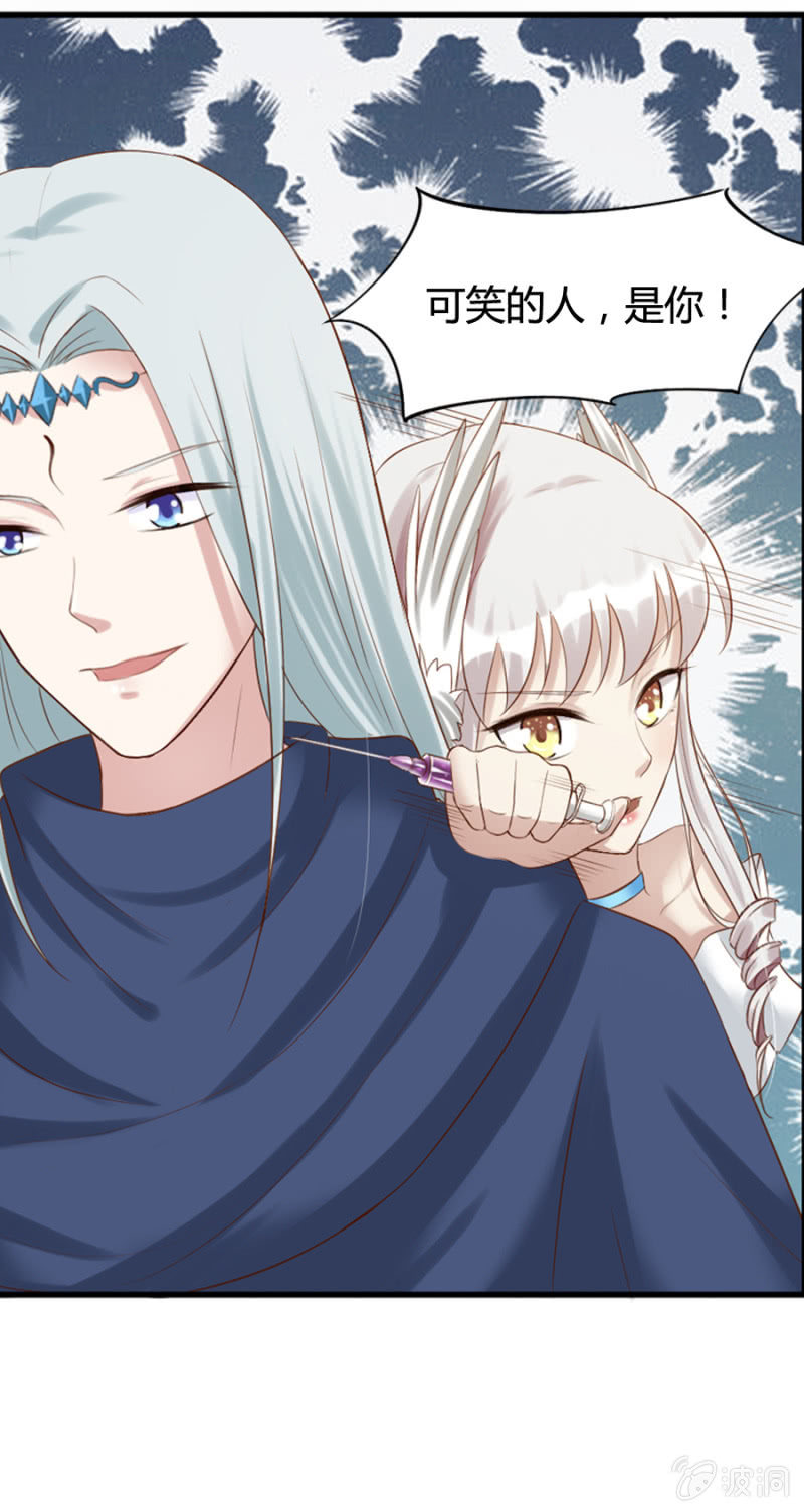 第36话 狂妄的加洛-第38话