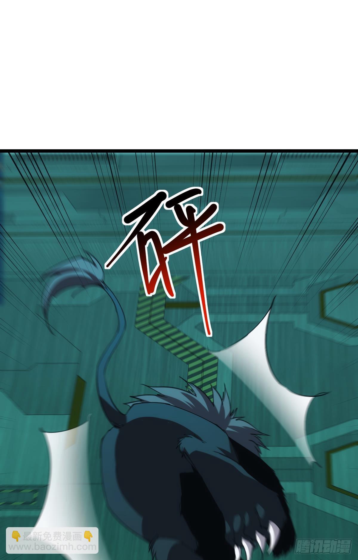完美的她(1/2)-第54话