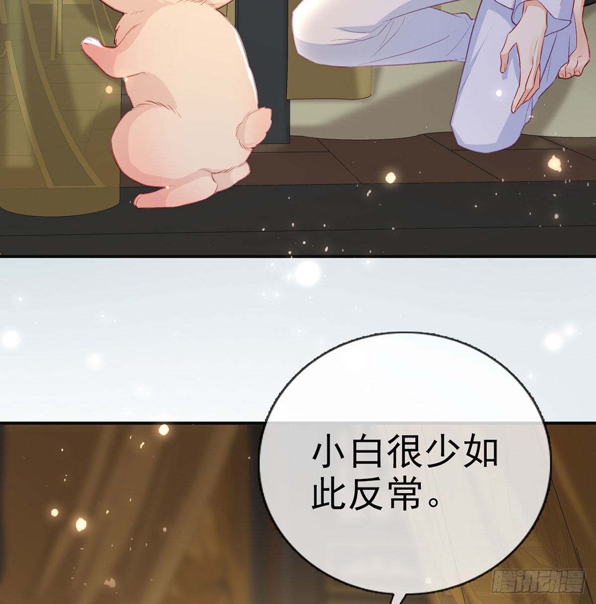 云隐出事(1/2)-第66话