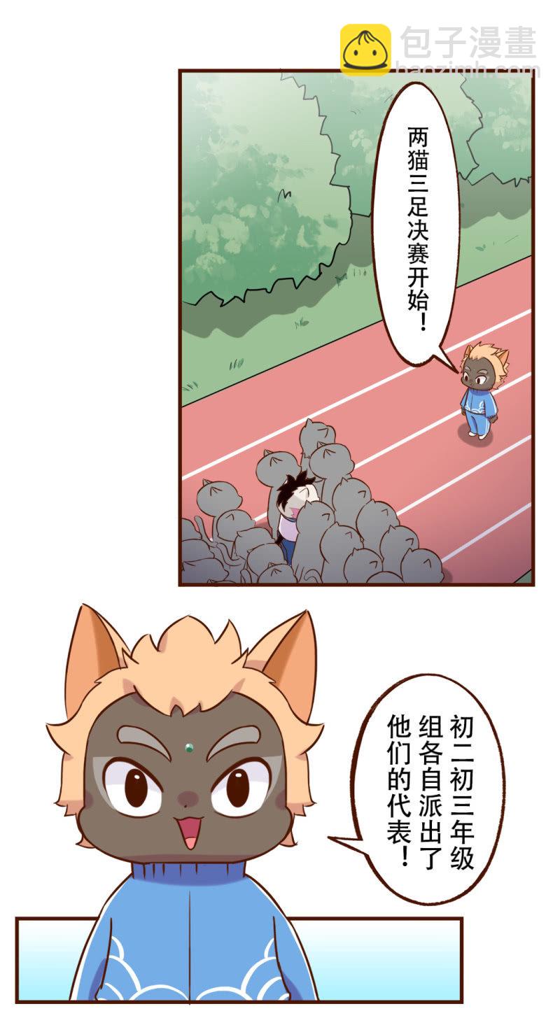 合作！两猫三足-第186话