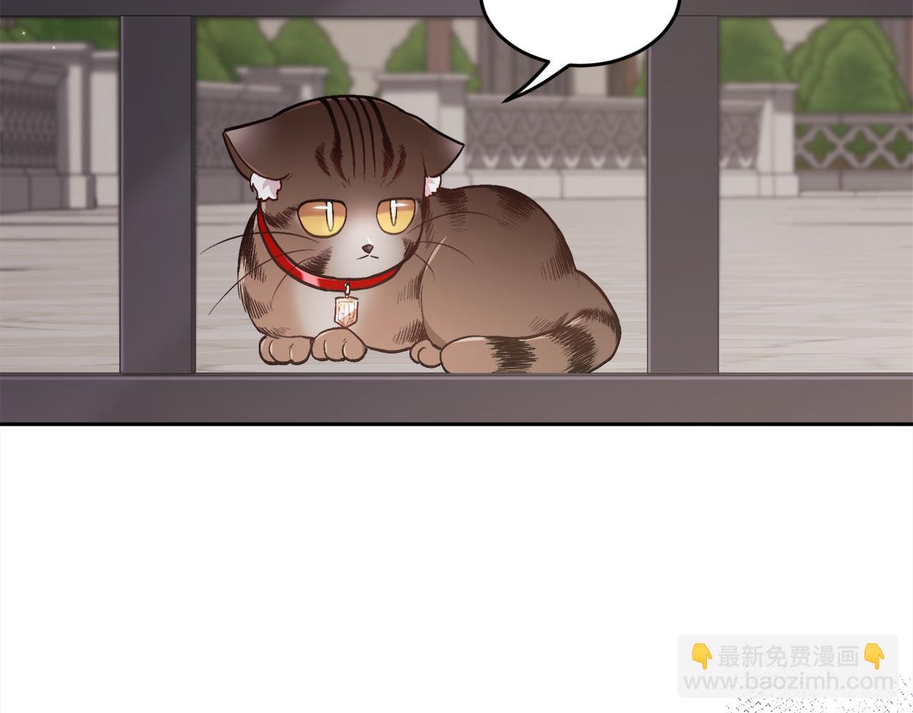 🍴精灵团宠小千金 第119话 泰拉登场！ 第28页