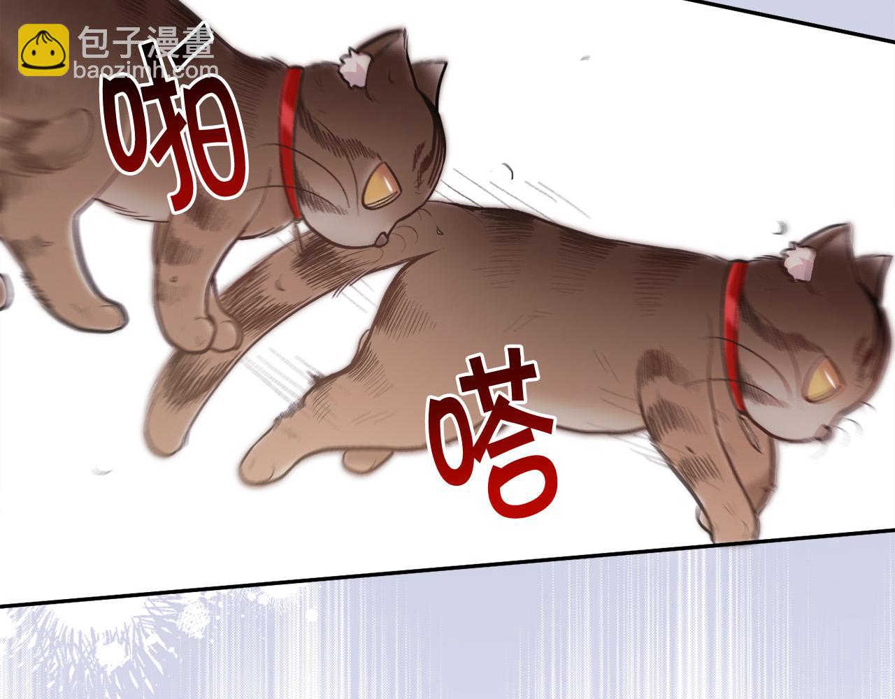 🍴精灵团宠小千金 第119话 泰拉登场！ 第3页