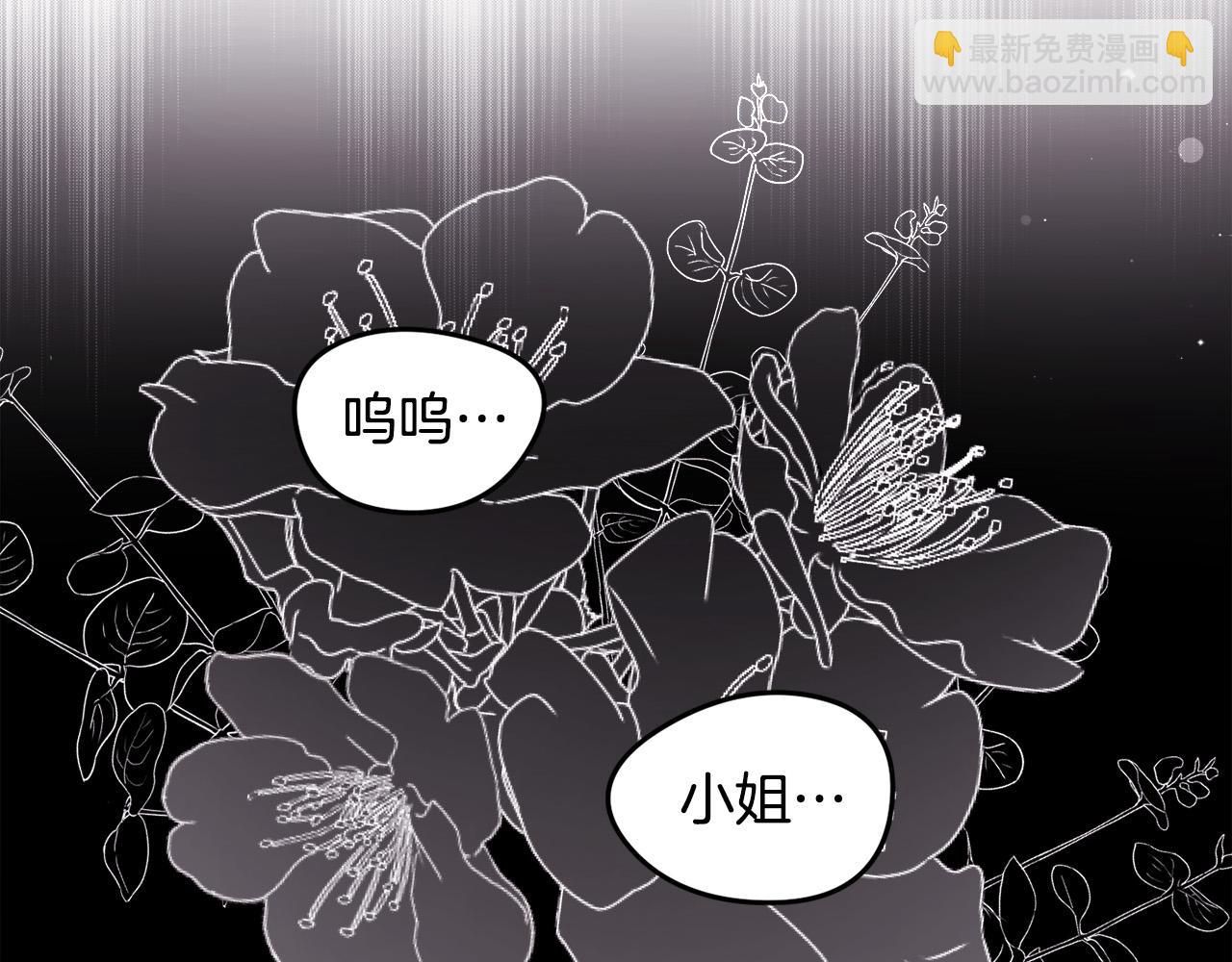 🍴精灵团宠小千金 第119话 泰拉登场！ 第37页