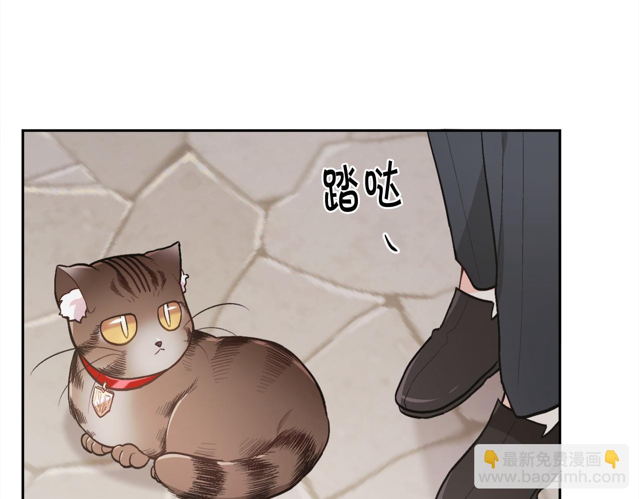 🍴精灵团宠小千金 第119话 泰拉登场！ 第41页